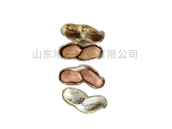 濰花25號(hào)花生種預(yù)防病蟲(chóng)害的方法